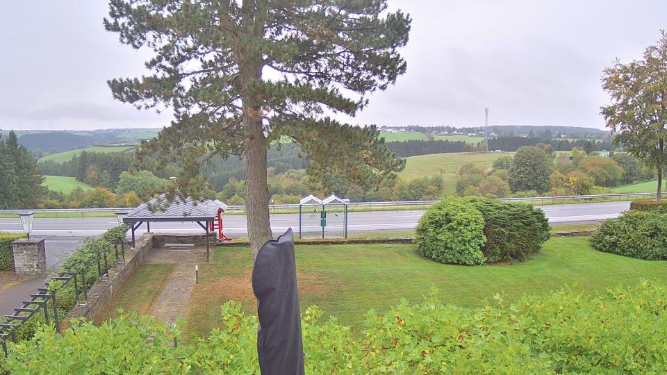 live webcam